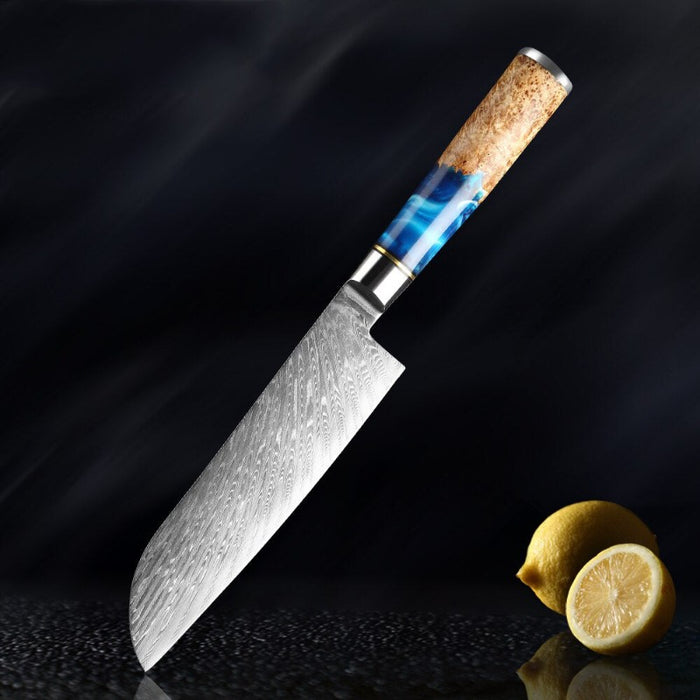 The Damascus Steel VG10 Santoku Knife