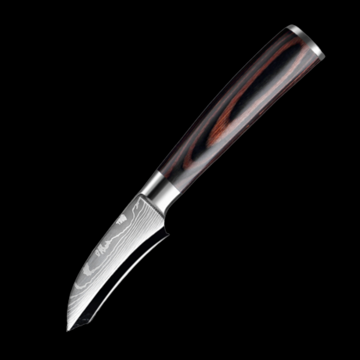 Stainless Steel Paring Knife