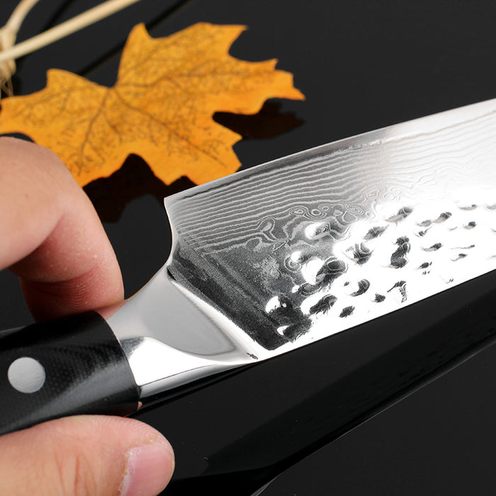 Kitchen Chef Knife of Japanese VG-10 Damascus Steel