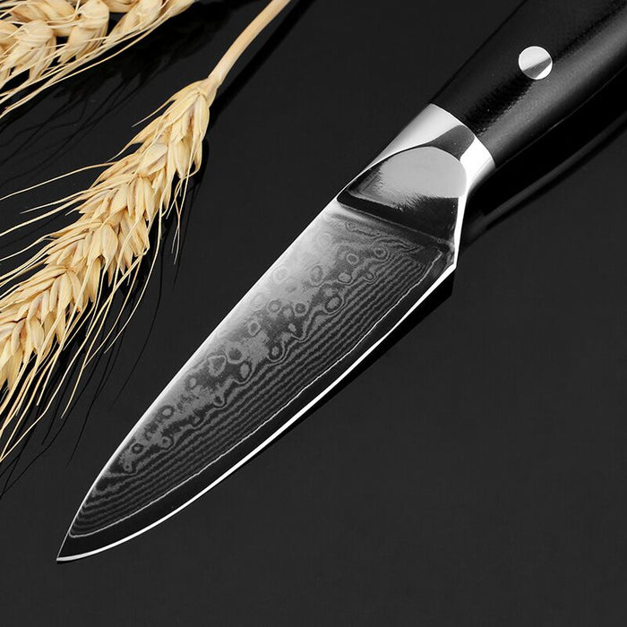 High Quality Paring Knife 67 Damascus Layer