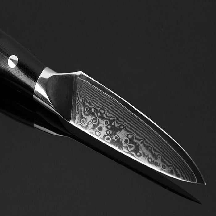 High Quality Paring Knife 67 Damascus Layer