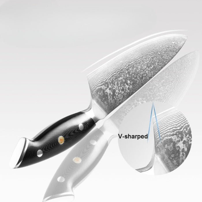 VG10 Japanese Steel Chef Knife