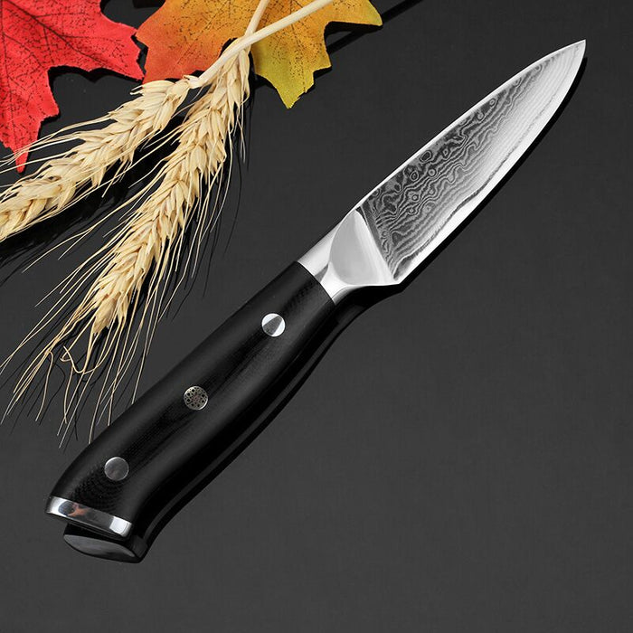 High Quality Paring Knife 67 Damascus Layer