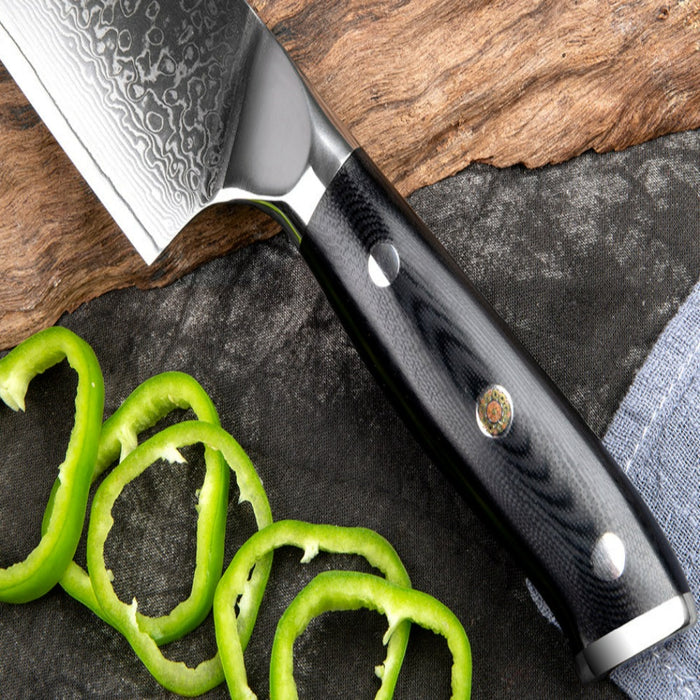 Japan Damascus Steel Kitchen Chef Knife