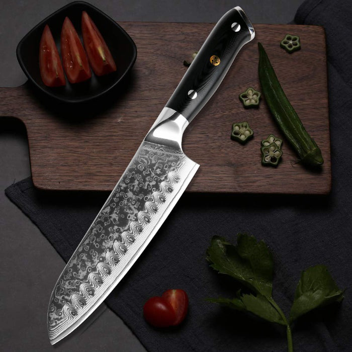 Japanese Style Kitchen Chef Santoku Knife