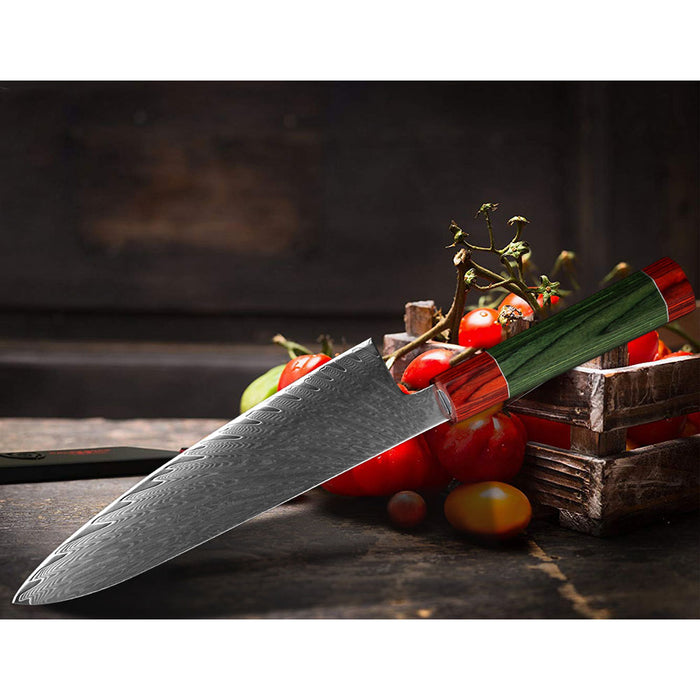 Professional Japan Damascus Steel Chef Knife