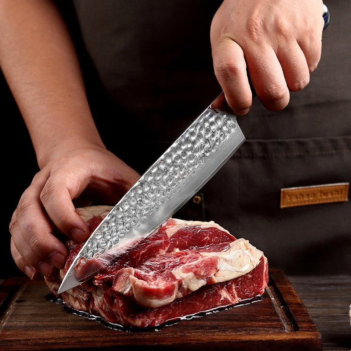 The VG10 Damascus Steel Professional Chef Knife