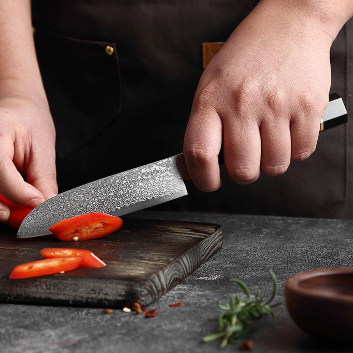 The 5 Inch Japanese Santoku Knife | Ultra Sharp Kitchen Knife