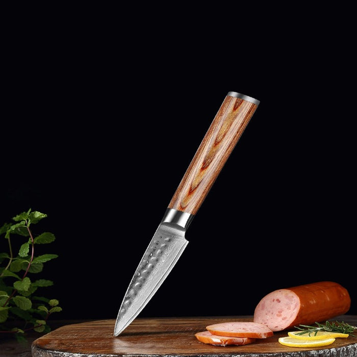 Professional Paring Kitchen 67 Layer Damascus Paring Knife