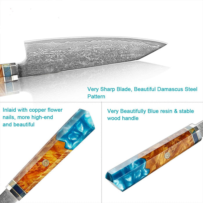 5 Inch Chef Knife Japanese 67 Layer Damascus Super Steel