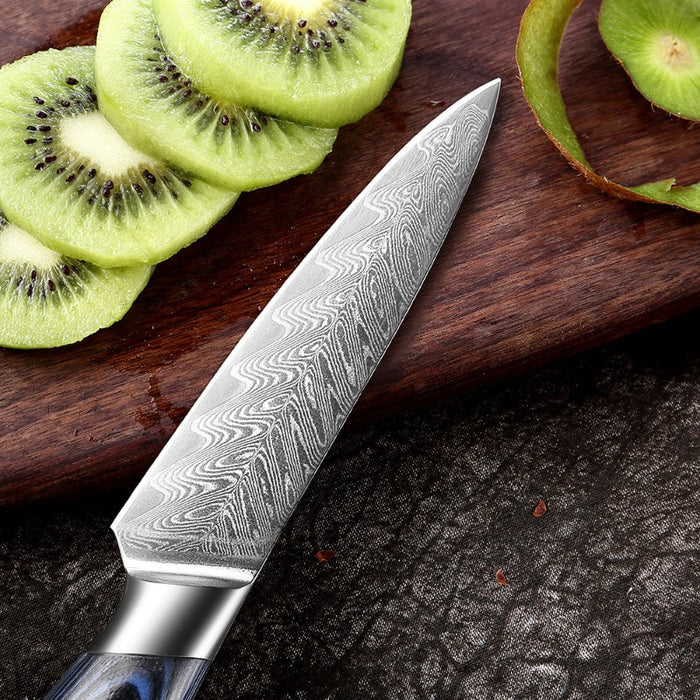 3.5 inch Japanese Damascus Steel Paring Knife