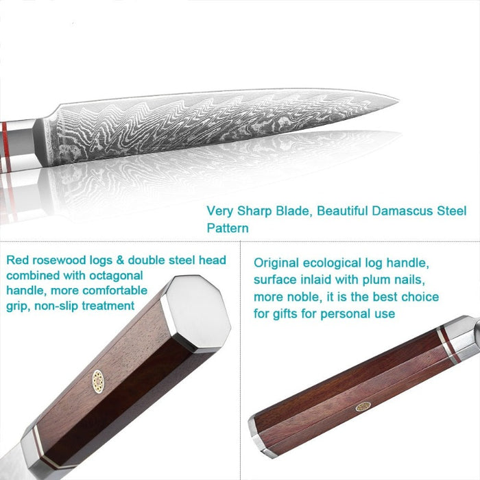 Japanese 67 Layers Damascus Boning Steak Knife