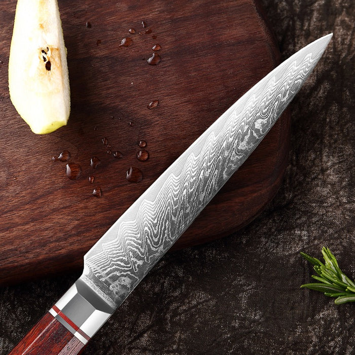 Japanese 67 Layers Damascus Boning Steak Knife