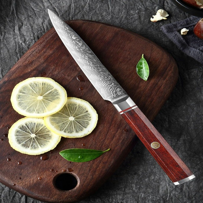 Japanese 67 Layers Damascus Boning Steak Knife