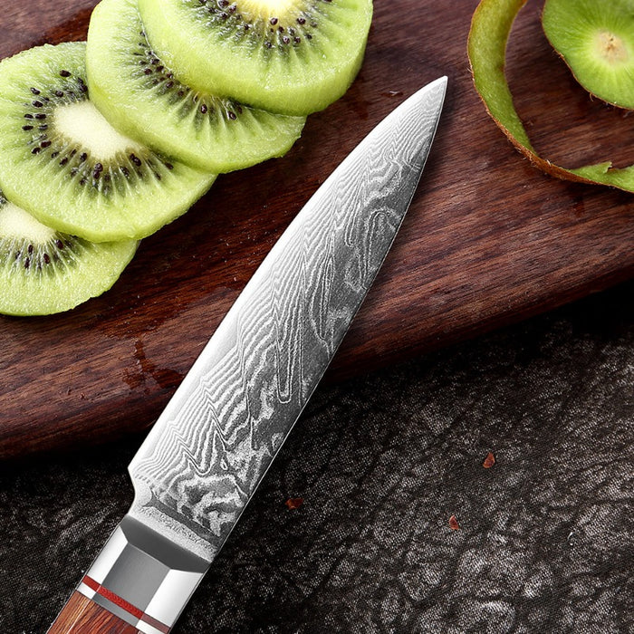 3.5 Inch Paring Knife Japanese Damascus Steel