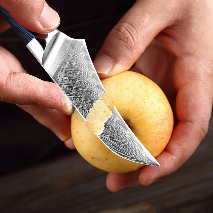 3.5 Inch Multifunctional Fruit Paring Knife