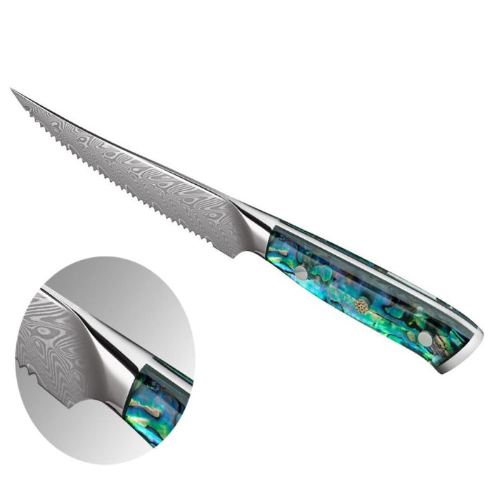 The Japanese 67 Layer Boning Steak Knife