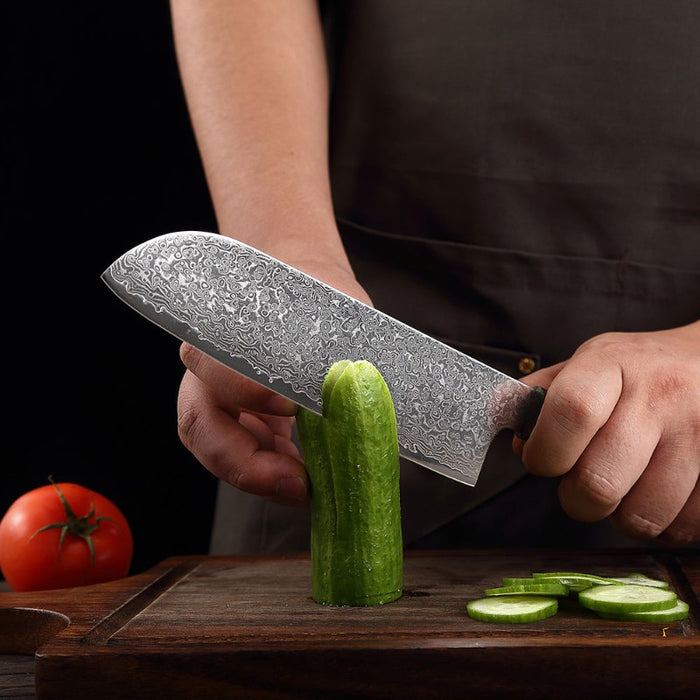 8 Inch Japanese Santoku Damascus Steel Knife