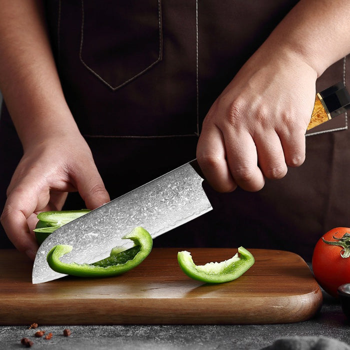 7 Inch Professional Japanese Santoku Knife