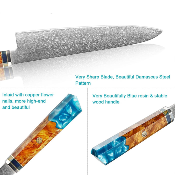 8 Inch Professional 67 Layers Damascus Steel Chef Knife