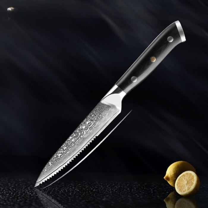 Damascus Steel Boning Steak Knife Set