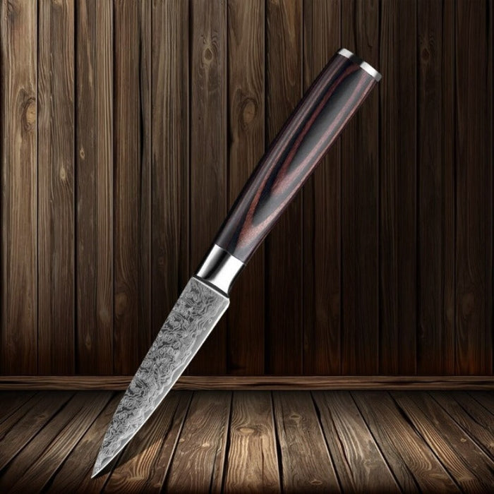 3.5 Inch Laser Damascus Steel Pattern Paring Knife