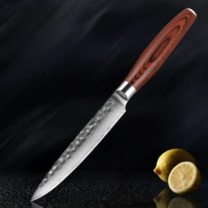 5.5" Utility Knife High-Quality Damascus Steel