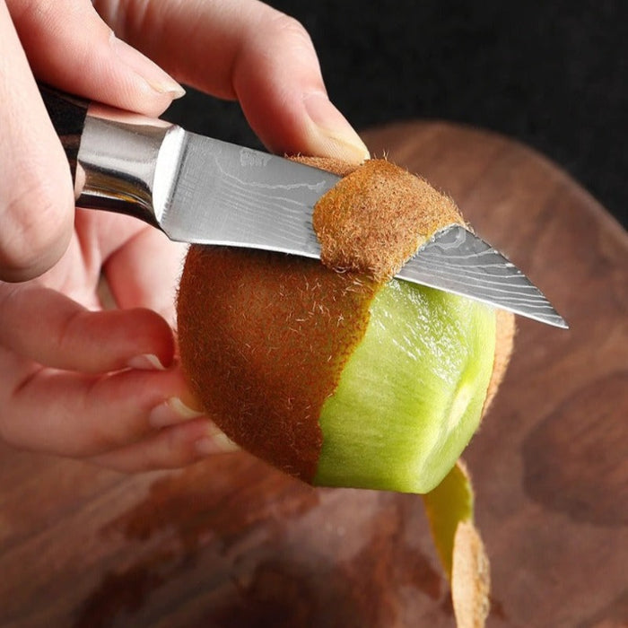 Stainless Steel Paring Knife With Wooden Handle