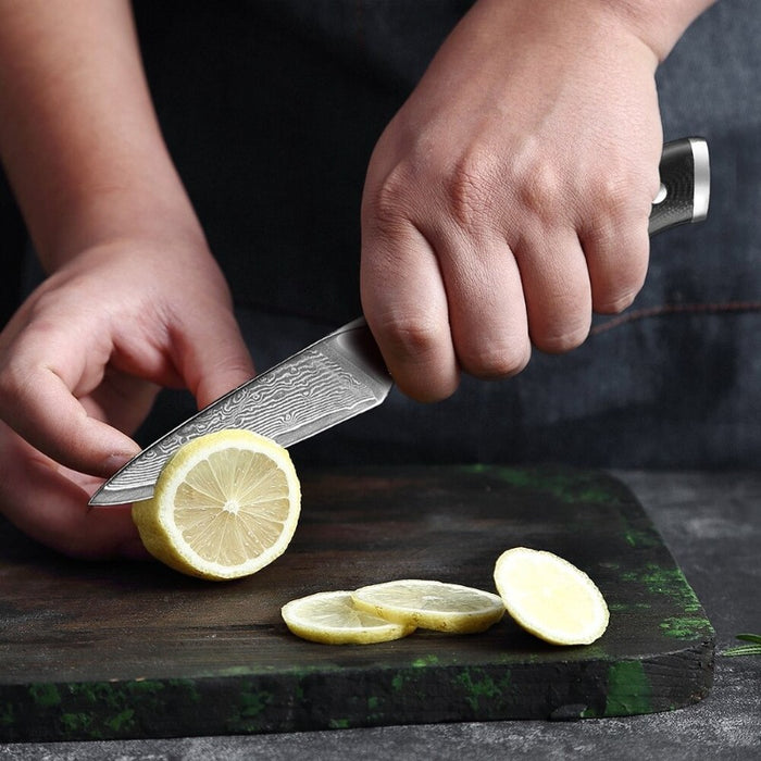 Damascus 2 Pieces Kitchen Chef Knives