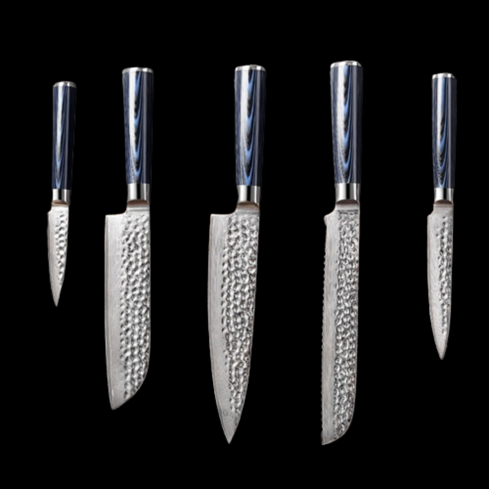 5 Pieces Premium Blue Handle Knife Set