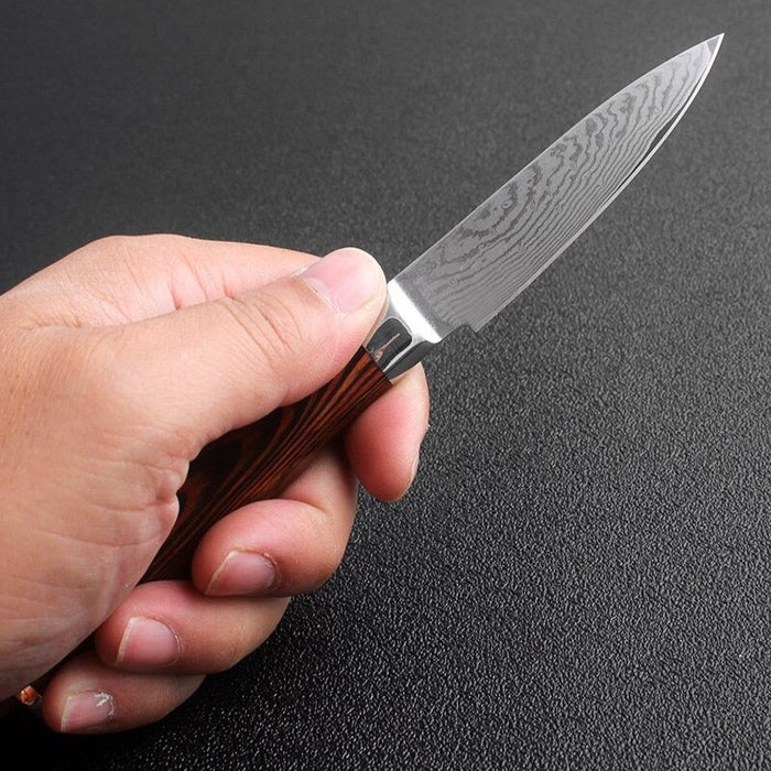 3.5" Kitchen Paring Knife Japanese Damascus Steel