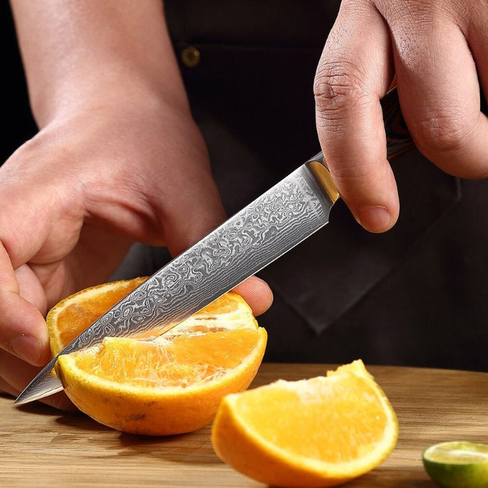 3.5" Kitchen Paring Knife Japanese Damascus Steel