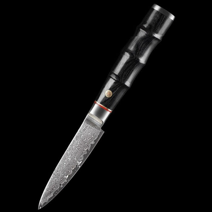 Sharp Damascus Steel Household Paring Knife